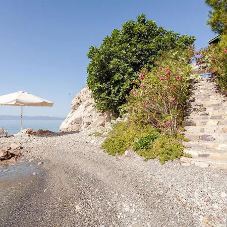 Hébergement de vacances Wooden Beach Houses *