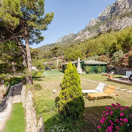 Wooden Beach Houses Mugla